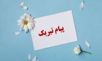 درخشش اعضای هیات علمی دانشکده بهداشت ارومیه در فهرست دو درصد برتر دانشمندان جهان 